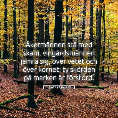 Picture 05 - Joel 1:11 SV1917 - Åkermännen stå med skam, vingårdsmännen - Bible Verse Picture