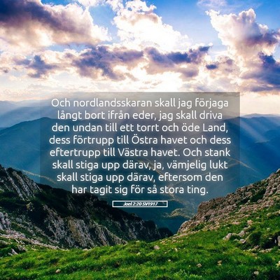 Picture 05 - Joel 2:20 SV1917 - Och nordlandsskaran skall jag förjaga långt - Bible Verse Picture