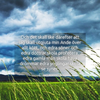Picture 05 - Joel 2:28 SV1917 - Och det skall ske därefter att jag skall utgjuta - Bible Verse Picture