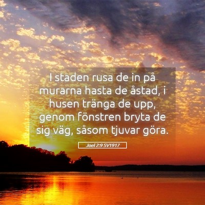 Picture 05 - Joel 2:9 SV1917 - I staden rusa de in på murarna hasta de åstad, - Bible Verse Picture