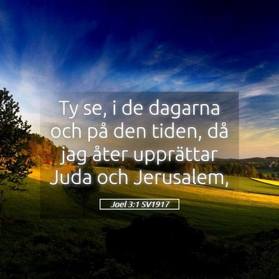 Picture 05 - Joel 3:1 SV1917 - Ty se, i de dagarna och på den tiden, då jag - Bible Verse Picture