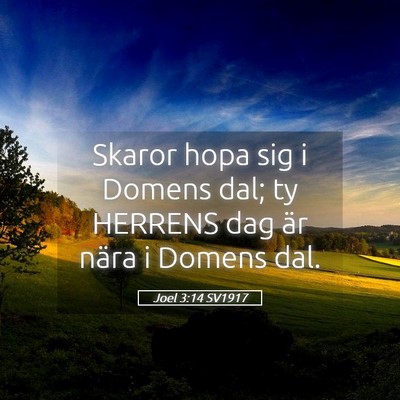 Picture 05 - Joel 3:14 SV1917 - Skaror hopa sig i Domens dal; ty HERRENS dag är - Bible Verse Picture