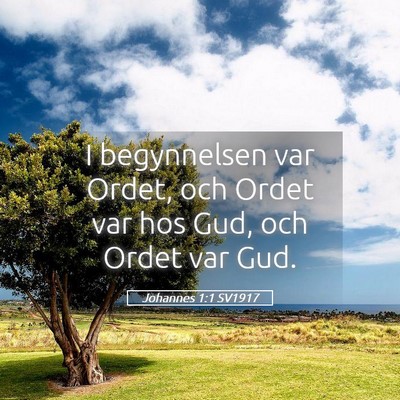 Picture 05 - Johannes 1:1 SV1917 - I begynnelsen var Ordet, och Ordet var hos Gud, - Bible Verse Picture