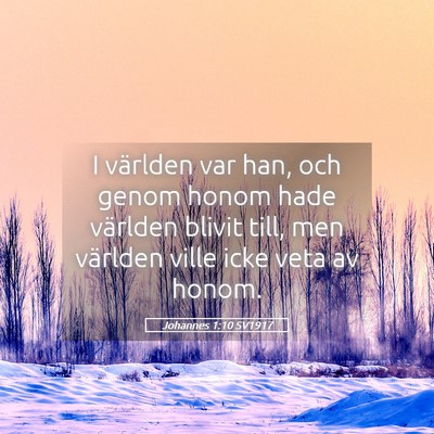 Picture 05 - Johannes 1:10 SV1917 - I världen var han, och genom honom hade världen - Bible Verse Picture