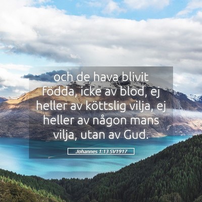 Picture 05 - Johannes 1:13 SV1917 - och de hava blivit födda, icke av blod, ej - Bible Verse Picture