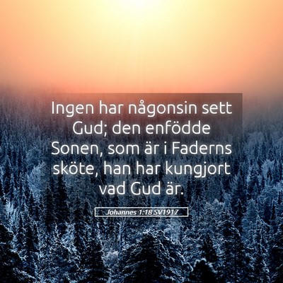 Picture 05 - Johannes 1:18 SV1917 - Ingen har någonsin sett Gud; den enfödde Sonen, - Bible Verse Picture