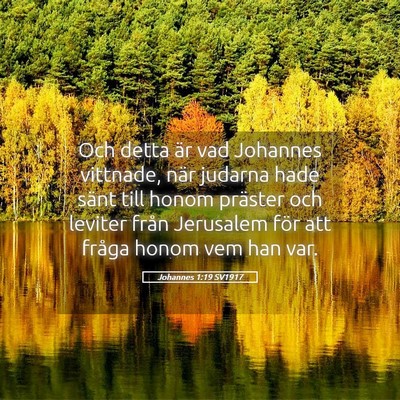 Picture 05 - Johannes 1:19 SV1917 - Och detta är vad Johannes vittnade, när judarna - Bible Verse Picture