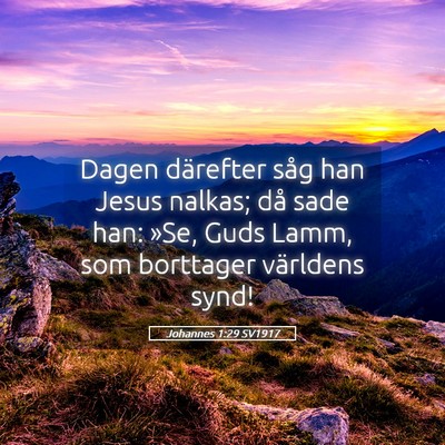 Picture 05 - Johannes 1:29 SV1917 - Dagen därefter såg han Jesus nalkas; då sade - Bible Verse Picture