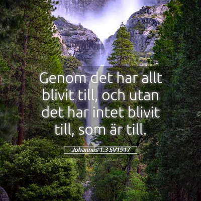 Picture 05 - Johannes 1:3 SV1917 - Genom det har allt blivit till, och utan det har - Bible Verse Picture