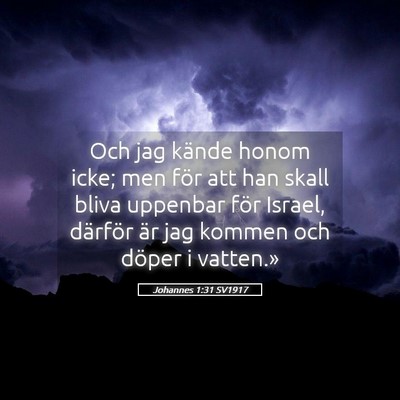 Picture 05 - Johannes 1:31 SV1917 - Och jag kände honom icke; men för att han skall - Bible Verse Picture
