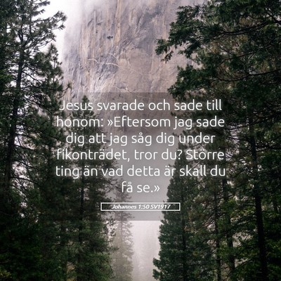 Picture 05 - Johannes 1:50 SV1917 - Jesus svarade och sade till honom: »Eftersom jag - Bible Verse Picture