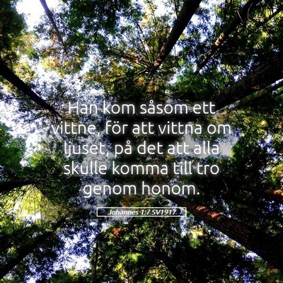 Picture 05 - Johannes 1:7 SV1917 - Han kom såsom ett vittne, för att vittna om - Bible Verse Picture
