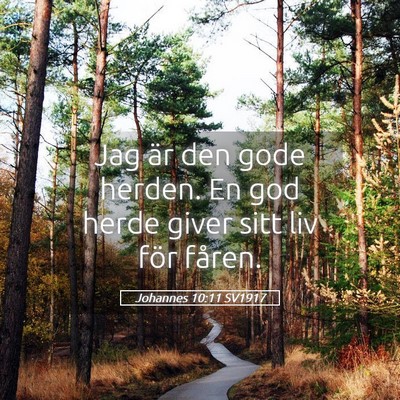 Picture 05 - Johannes 10:11 SV1917 - Jag är den gode herden. En god herde giver sitt - Bible Verse Picture