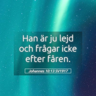 Picture 05 - Johannes 10:13 SV1917 - Han är ju lejd och frågar icke efter - Bible Verse Picture