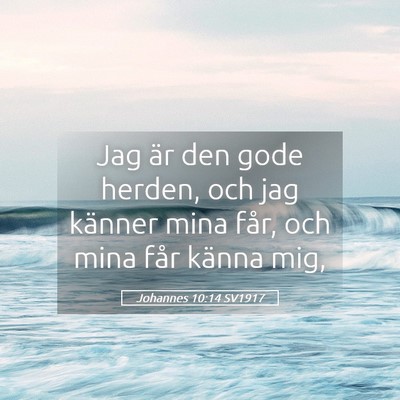 Picture 05 - Johannes 10:14 SV1917 - Jag är den gode herden, och jag känner mina - Bible Verse Picture