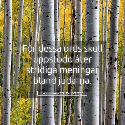 Picture 05 - Johannes 10:19 SV1917 - För dessa ords skull uppstodo åter stridiga - Bible Verse Picture