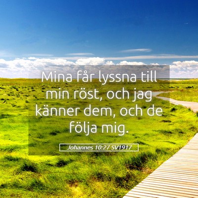 Picture 05 - Johannes 10:27 SV1917 - Mina får lyssna till min röst, och jag känner - Bible Verse Picture