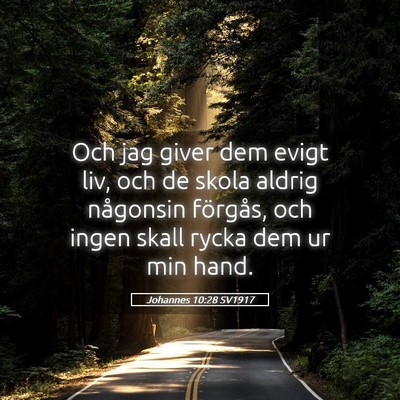 Picture 05 - Johannes 10:28 SV1917 - Och jag giver dem evigt liv, och de skola aldrig - Bible Verse Picture