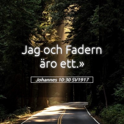 Picture 05 - Johannes 10:30 SV1917 - Jag och Fadern äro - Bible Verse Picture
