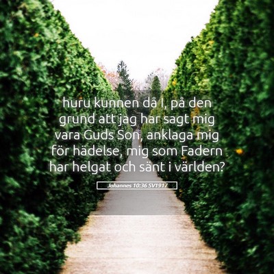 Picture 05 - Johannes 10:36 SV1917 - huru kunnen då I, på den grund att jag har sagt - Bible Verse Picture