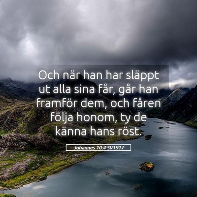 Picture 05 - Johannes 10:4 SV1917 - Och när han har släppt ut alla sina får, går - Bible Verse Picture