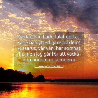 Picture 05 - Johannes 11:11 SV1917 - Sedan han hade talat detta, sade han ytterligare - Bible Verse Picture