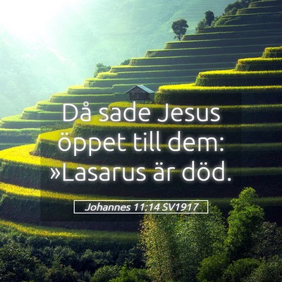 Picture 05 - Johannes 11:14 SV1917 - Då sade Jesus öppet till dem: »Lasarus är - Bible Verse Picture