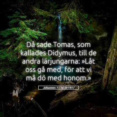 Picture 05 - Johannes 11:16 SV1917 - Då sade Tomas, som kallades Didymus, till de - Bible Verse Picture