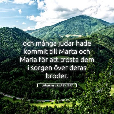 Picture 05 - Johannes 11:19 SV1917 - och många judar hade kommit till Marta och Maria - Bible Verse Picture
