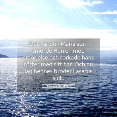 Picture 05 - Johannes 11:2 SV1917 - Det var den Maria som smorde Herren med - Bible Verse Picture