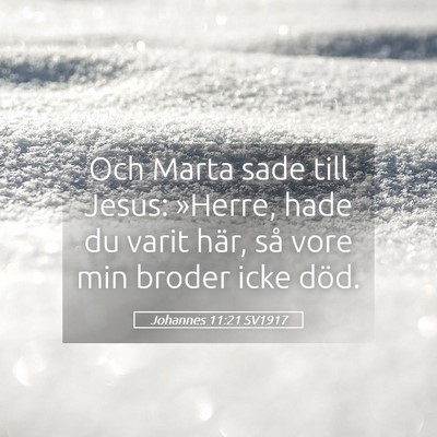 Picture 05 - Johannes 11:21 SV1917 - Och Marta sade till Jesus: »Herre, hade du varit - Bible Verse Picture
