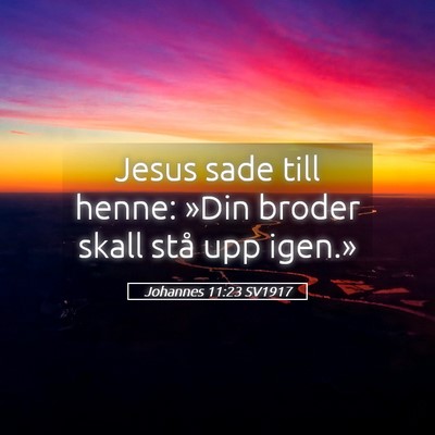 Picture 05 - Johannes 11:23 SV1917 - Jesus sade till henne: »Din broder skall stå - Bible Verse Picture