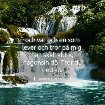 Picture 05 - Johannes 11:26 SV1917 - och var och en som lever och tror på mig, han - Bible Verse Picture