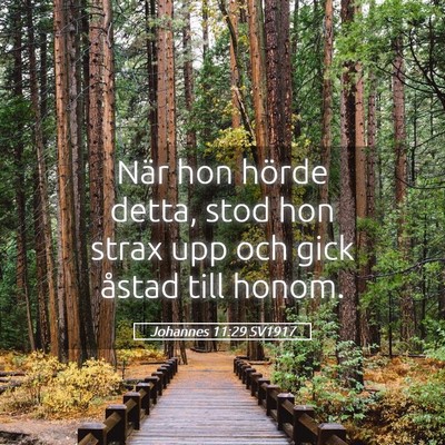 Picture 05 - Johannes 11:29 SV1917 - När hon hörde detta, stod hon strax upp och - Bible Verse Picture