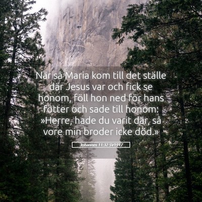 Picture 05 - Johannes 11:32 SV1917 - När så Maria kom till det ställe där Jesus - Bible Verse Picture