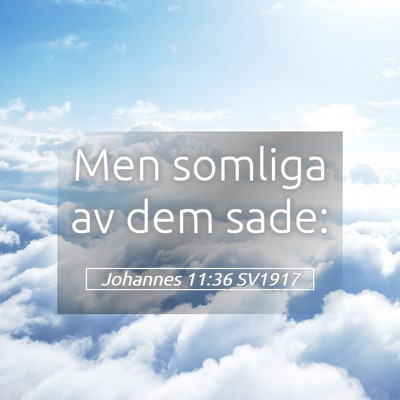 Picture 05 - Johannes 11:36 SV1917 - Men somliga av dem - Bible Verse Picture