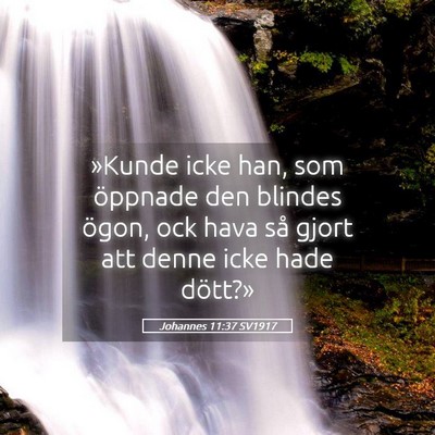 Picture 05 - Johannes 11:37 SV1917 - »Kunde icke han, som öppnade den blindes ögon, - Bible Verse Picture