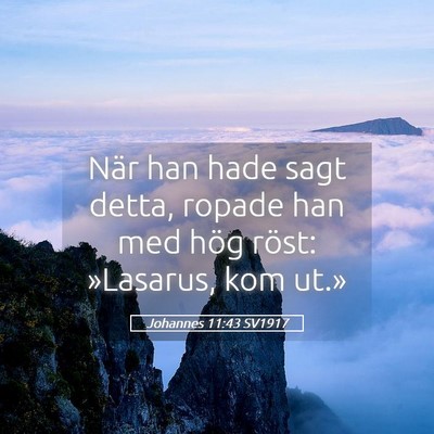 Picture 05 - Johannes 11:43 SV1917 - När han hade sagt detta, ropade han med hög - Bible Verse Picture