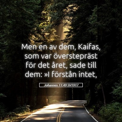 Picture 05 - Johannes 11:49 SV1917 - Men en av dem, Kaifas, som var överstepräst - Bible Verse Picture