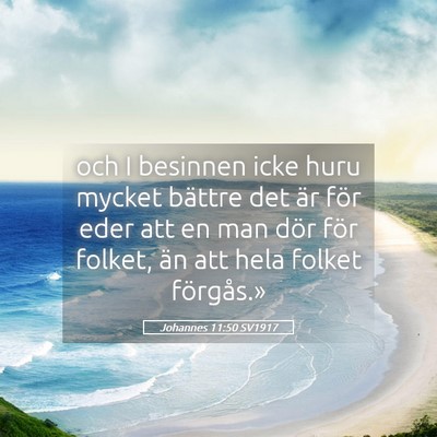 Picture 05 - Johannes 11:50 SV1917 - och I besinnen icke huru mycket bättre det är - Bible Verse Picture