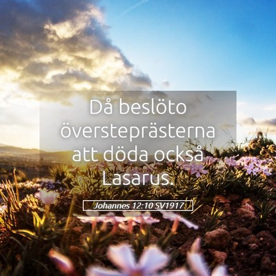 Picture 05 - Johannes 12:10 SV1917 - Då beslöto översteprästerna att döda också - Bible Verse Picture