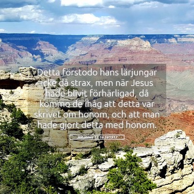 Picture 05 - Johannes 12:16 SV1917 - Detta förstodo hans lärjungar icke då strax, - Bible Verse Picture