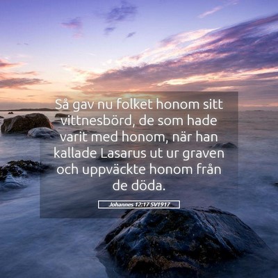 Picture 05 - Johannes 12:17 SV1917 - Så gav nu folket honom sitt vittnesbörd, de som - Bible Verse Picture