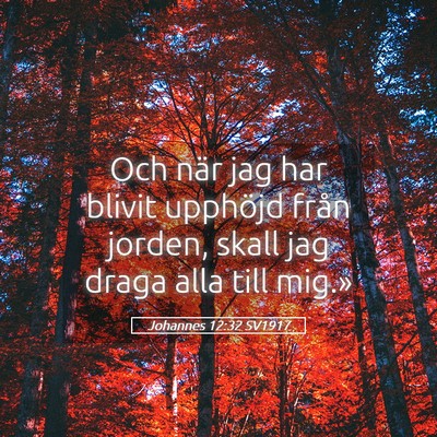 Picture 05 - Johannes 12:32 SV1917 - Och när jag har blivit upphöjd från jorden, - Bible Verse Picture