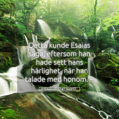 Picture 05 - Johannes 12:41 SV1917 - Detta kunde Esaias säga, eftersom han hade sett - Bible Verse Picture