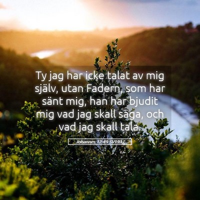 Picture 05 - Johannes 12:49 SV1917 - Ty jag har icke talat av mig själv, utan Fadern, - Bible Verse Picture