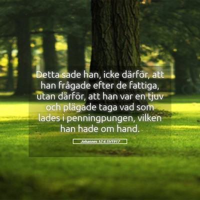 Picture 05 - Johannes 12:6 SV1917 - Detta sade han, icke därför, att han frågade - Bible Verse Picture