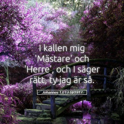 Picture 05 - Johannes 13:13 SV1917 - I kallen mig 'Mästare' och 'Herre', och I säger - Bible Verse Picture