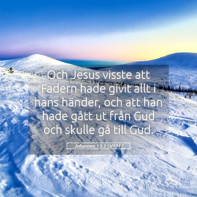 Picture 05 - Johannes 13:3 SV1917 - Och Jesus visste att Fadern hade givit allt i - Bible Verse Picture