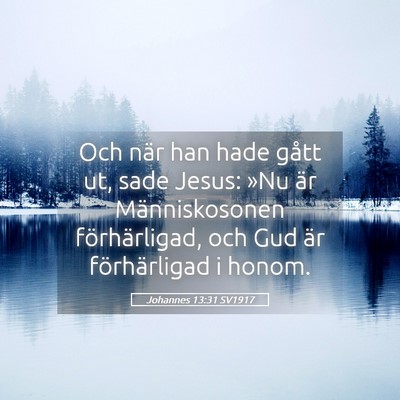 Picture 05 - Johannes 13:31 SV1917 - Och när han hade gått ut, sade Jesus: »Nu är - Bible Verse Picture